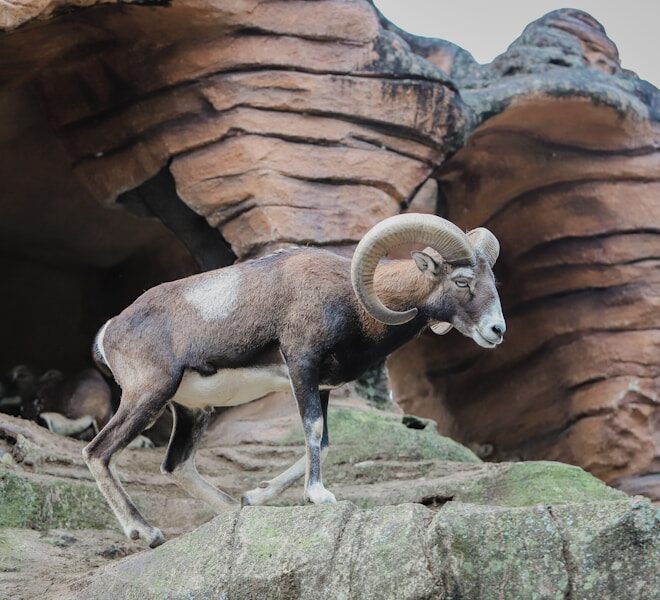 Aries Energy Unleashed: Embracing Your Personal Power on April 13, 2026