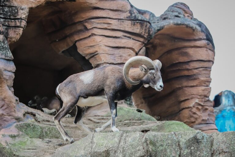 Aries Energy Unleashed: Embracing Your Personal Power on April 13, 2026