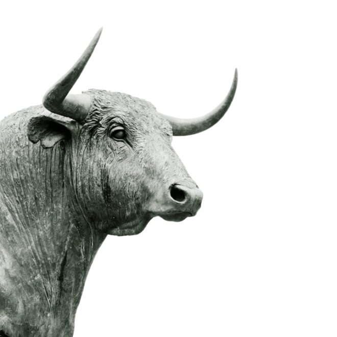 Taurus Time: How to Make the Most of April 13, 2026 with Fun and Fulfilling Activities