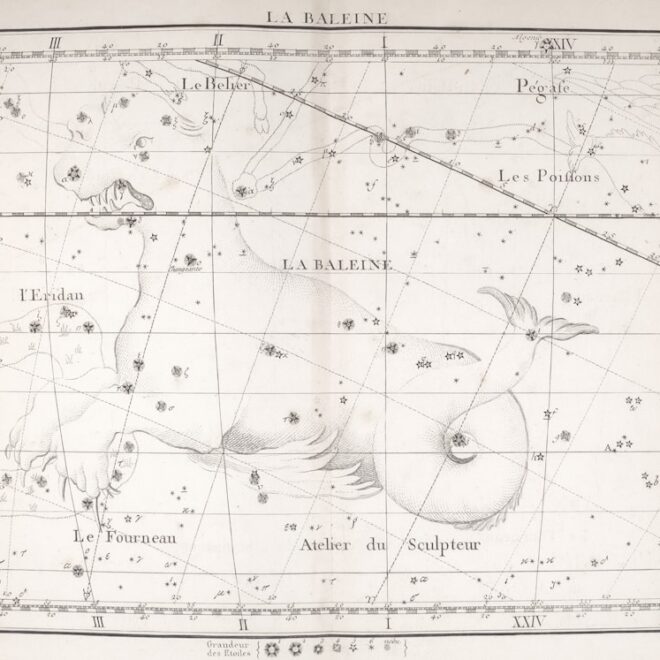 Unlocking the Taurus Man’s Potential: A Guide to Making the Most of April 13, 2026